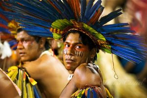 The Endangered Language of the Bororo in Brazil