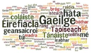 Irish Language Facts art