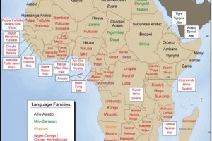 Region Change Through Word Exchange: The Need for Translation in Africa