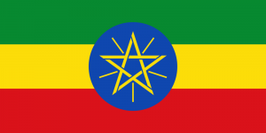 Ethiopian Languages