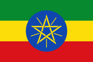 Top 4 Languages of Ethiopia
