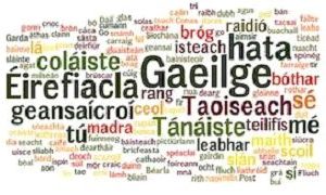 Irish Language Facts