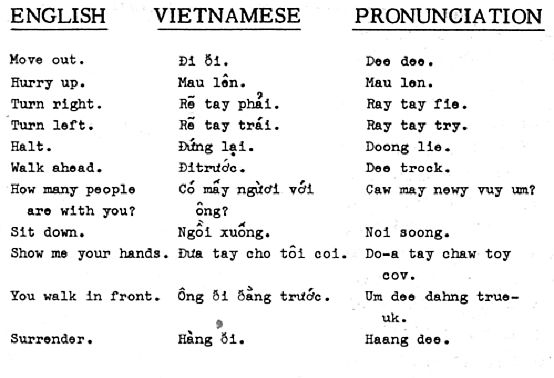 Vietnamese Translation services
