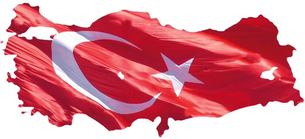 Turkish Translation services
