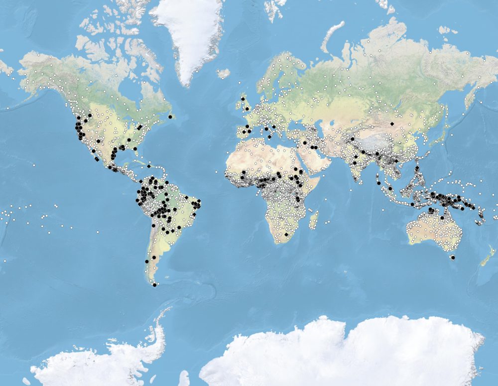 Language Isolates